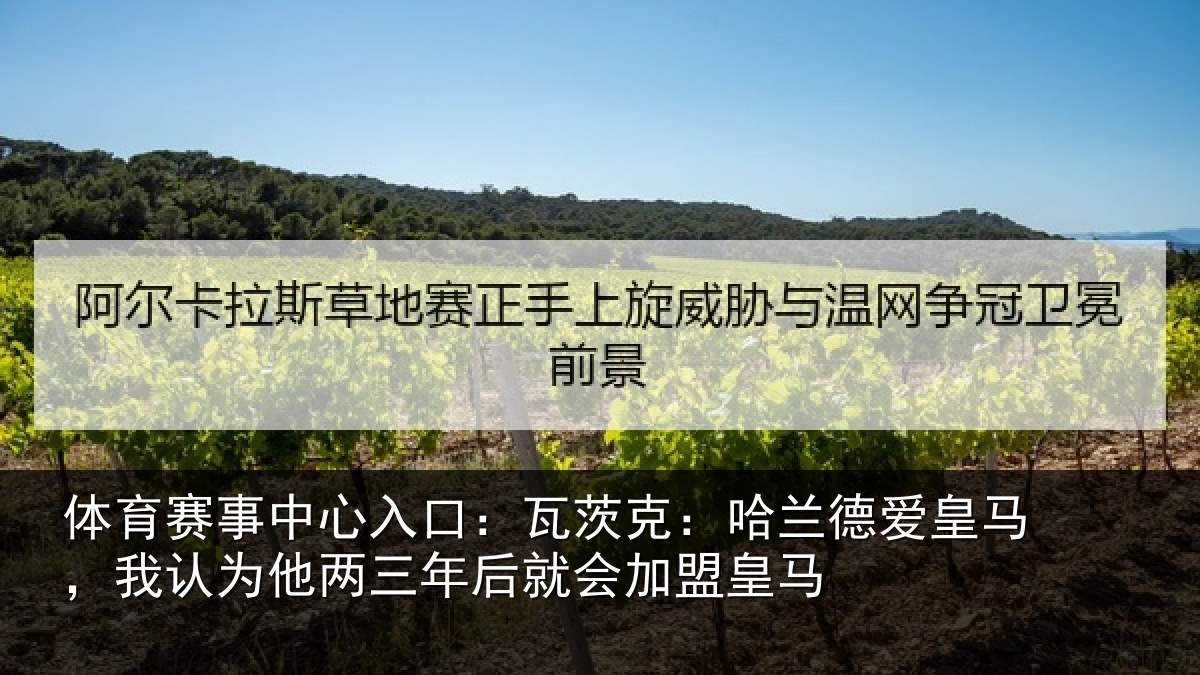 体育赛事中心入口:瓦茨克:哈兰德爱皇马,我认为他两三年后就会加盟皇马