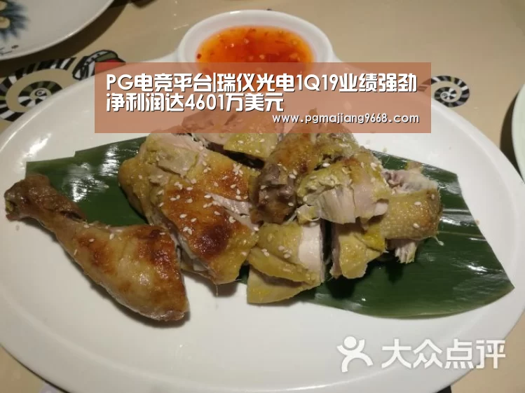 PG麻将网页版入口