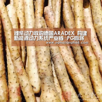 PG电子娱乐中心