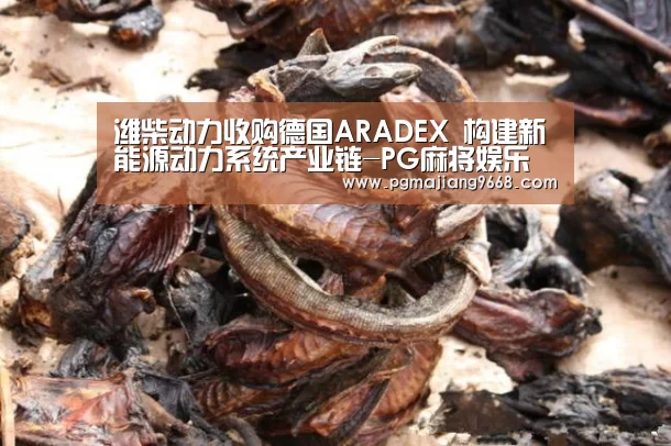PG麻将网页版入口