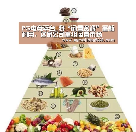 PG麻将网页版入口