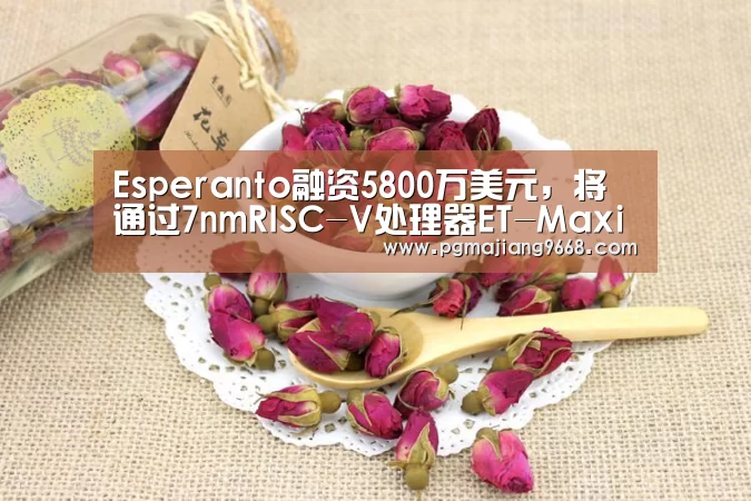 PG麻将网页版入口
